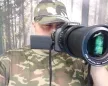 Как не попасть на мошенников при покупке животных
