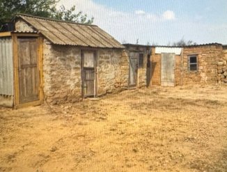 Хоз постройки и летний душь&#44; уличный туалет