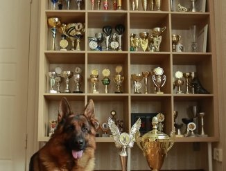 наши достижения