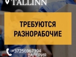 Разнорабочий Таллинн