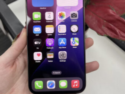 iPhone 16 Pro Max 256 ГБ/512 ГБ