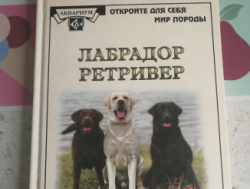 Книги о животных