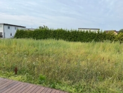 Покос травы