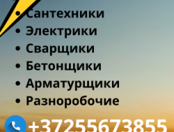 ИЩЕМ СОТРУДНИКОВ