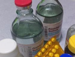 Buy cyanide, nembutal, xanax, valium,oxytocin,tramadol,mephedrone and other chemicals safely