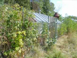 Продан Небольшой участок в Клоогаранна