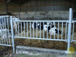 LIHAVEISEFARMI SEADMED ja PIIMAVEISEFARMI SEADMED