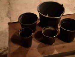 Горшки для рассады