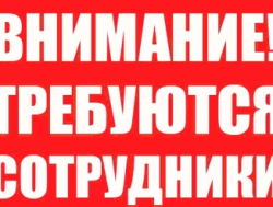 Плотник