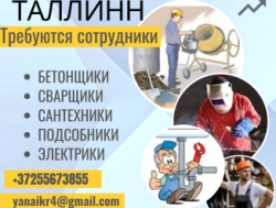 Нужны сотрудниики