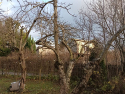 ОБСЛУЖИВАНИ НЕДВИЖИМОСТИ