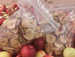 Сушеные яблоки из сада Эстонии сорт Имрус ,Катрэ, Антей с доставкой