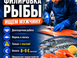 ТРЕБУЮТСЯ ФИЛИРОВЩИКИ РЫБЫ С ОПЫТОМ