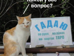 Консультации по картам Таро