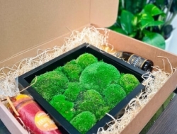 Роспись мха — это вид искусства