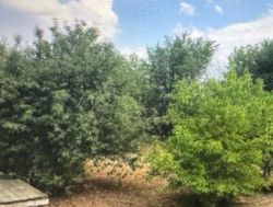 Продам дом в Крыму