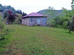 Участок с домом 12 км от Батуми