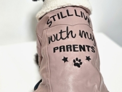 Куртки для собак