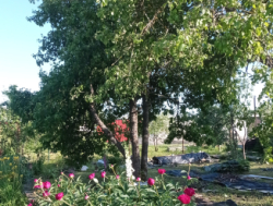 Дачный участок