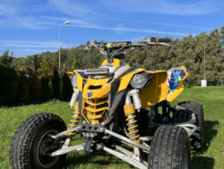 Can-am DS450 2008