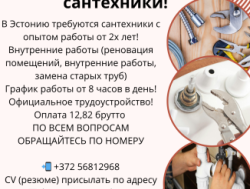 Эстония! требуется сантехник !