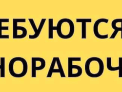 Упаковщик !Пярну
