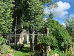 Спилить частями ольху 3шт