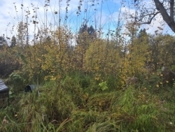 Продается дачный участок в Карбикюла, недалеко от Таллина! 15 500 €