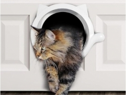 Lynx Ukse stiilne kassiuks, 19.1cm, UUS!