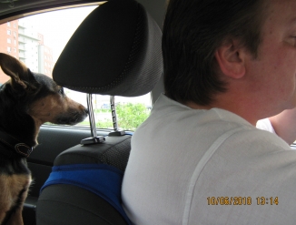 Предлагаю услуги в Эстонии по присмотру и оплате недвижи-и.