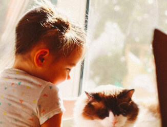 Ищу помощника для поиска клиентов