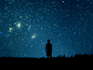 Создание сайта