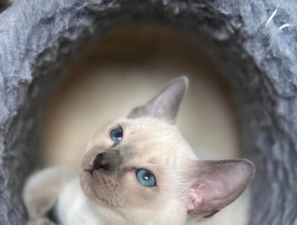 Эксклюзивное предложение