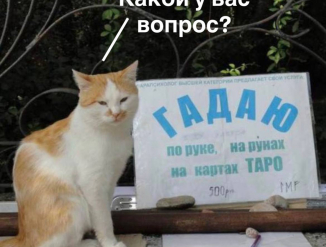 Консультации по картам Таро