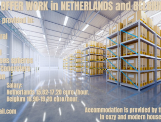 Предлагаем работу в Нидерландах и Бельгии.