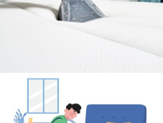 Выездная химчистка мягкой мебели,ковров