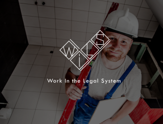 Специалист по силиконовым швам