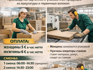 Разноробочий