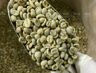High-quality Arabica/Robusta coffee beans for sale