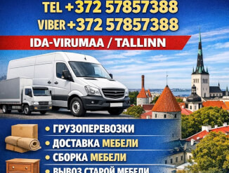 ГРУЗОПЕРЕВОЗКИ