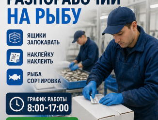 оператор на рыбу