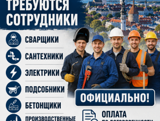 Зачистник по металлу