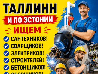 Рабочий на пилу