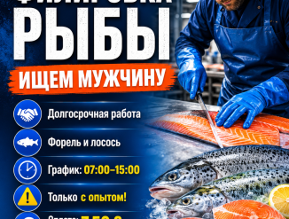Оператор на рыбу