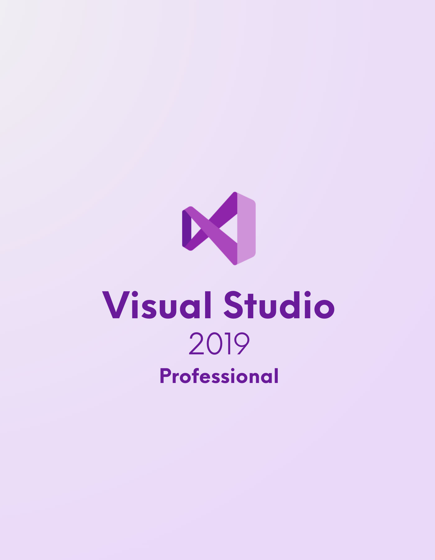 Visual Studio 2019 Professional CD Key