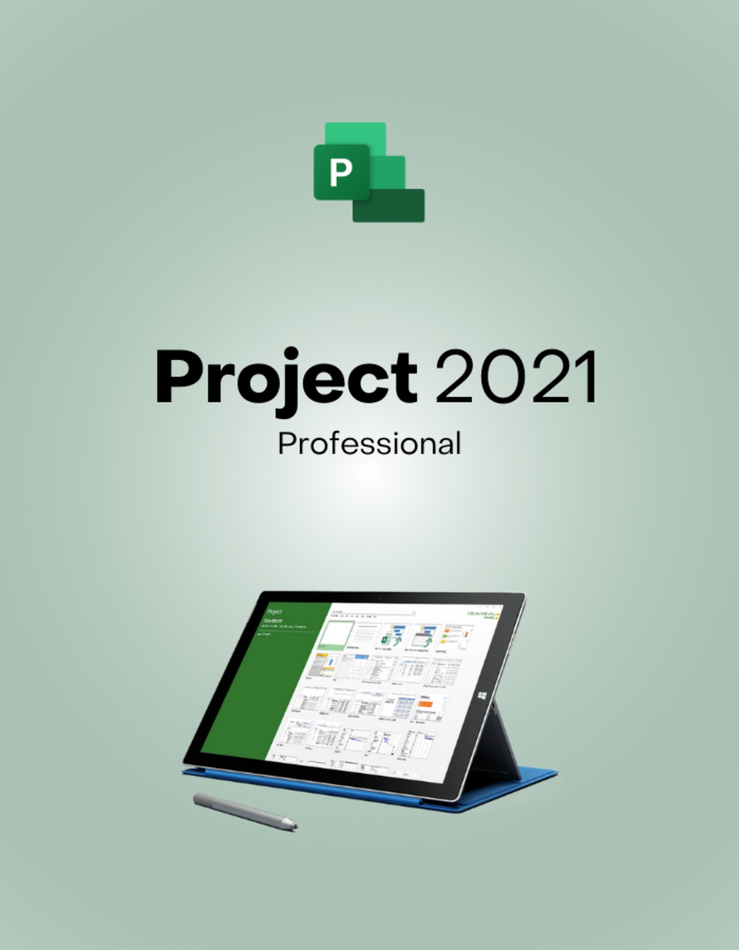 Project 2021 Professional CD Key