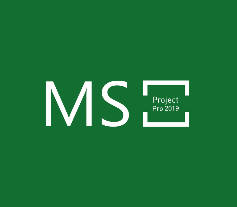 Ключ MS Project Professional 2019