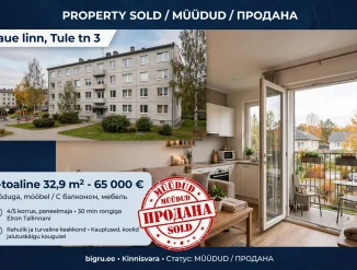 Продается уютная 1-комнатная квартира с балконом в живописном городке Сауэ