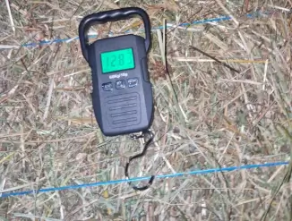 Свежее сено в тюках 30.07.2026(Hein)